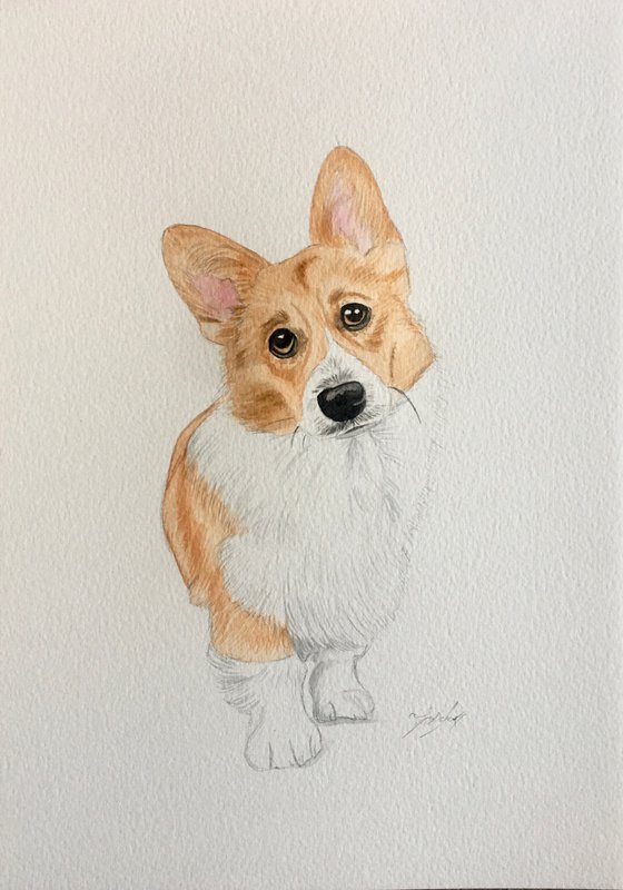 Corgi painting