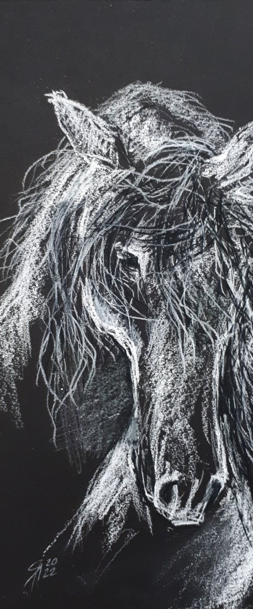 Horse II, Sketch  /  ORIGINAL PAINTING by Salana Art