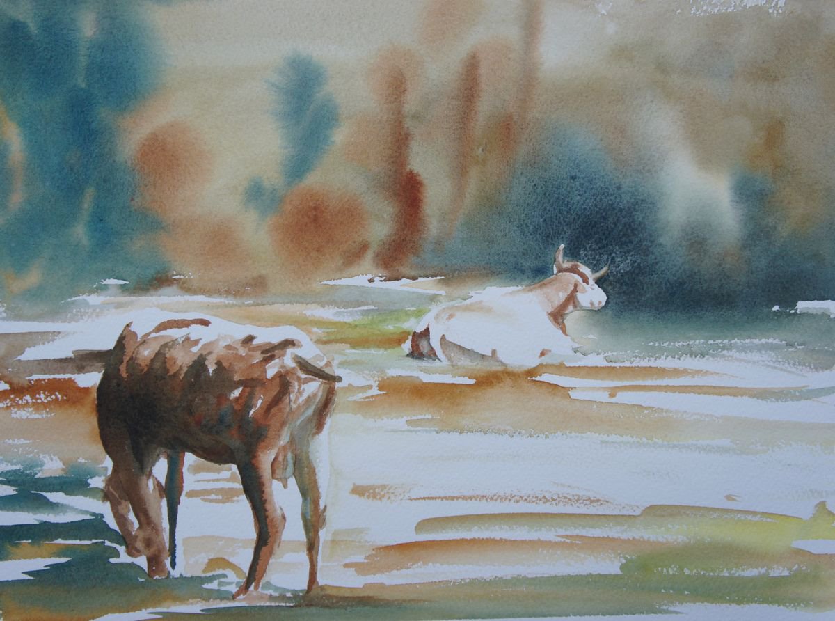 Sunbathing cows by Silvie Wright