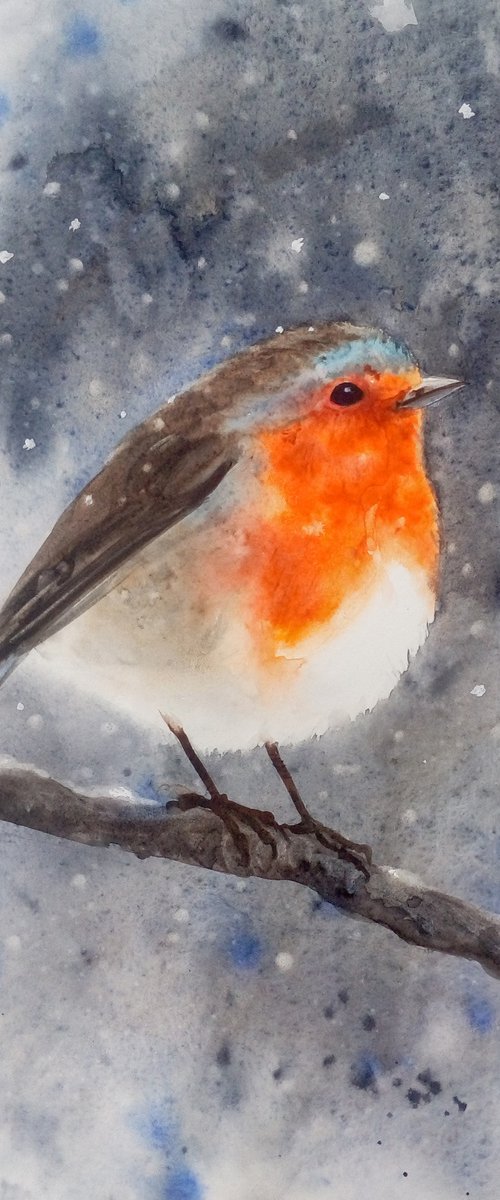 Original Watercolour Robin Bir by Olga Beliaeva Watercolour