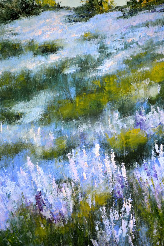 Wild lavender in the haze of the morning sun