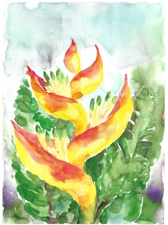 Heliconia flower watercolor set of 2
