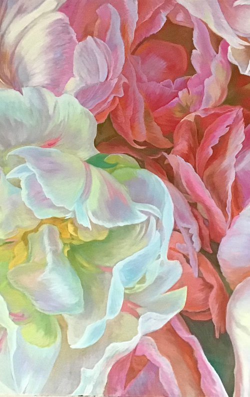 Blooming peonies by Elena
