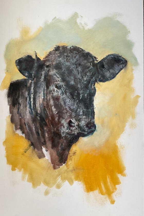 Calf