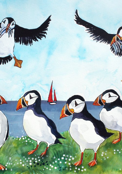 Puffins by Julia  Rigby