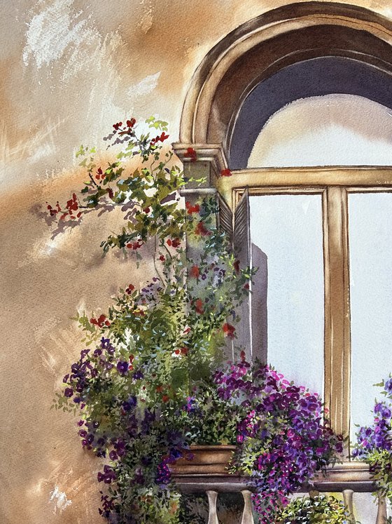Window with flowers , Venice
