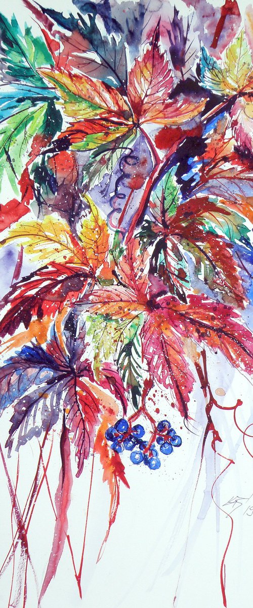 Lovely autumn - wildgrapes by Kovács Anna Brigitta