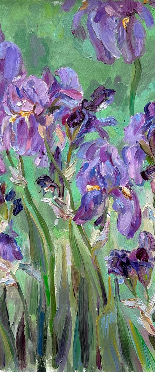 «Irises» by Olha Dashkevych