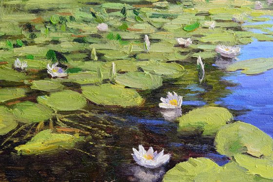 River lilies