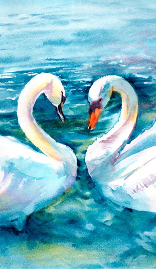 Swans in love by Anjana Cawdell