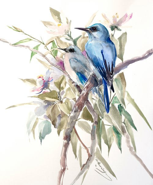Mountain Bluebirds by Suren Nersisyan