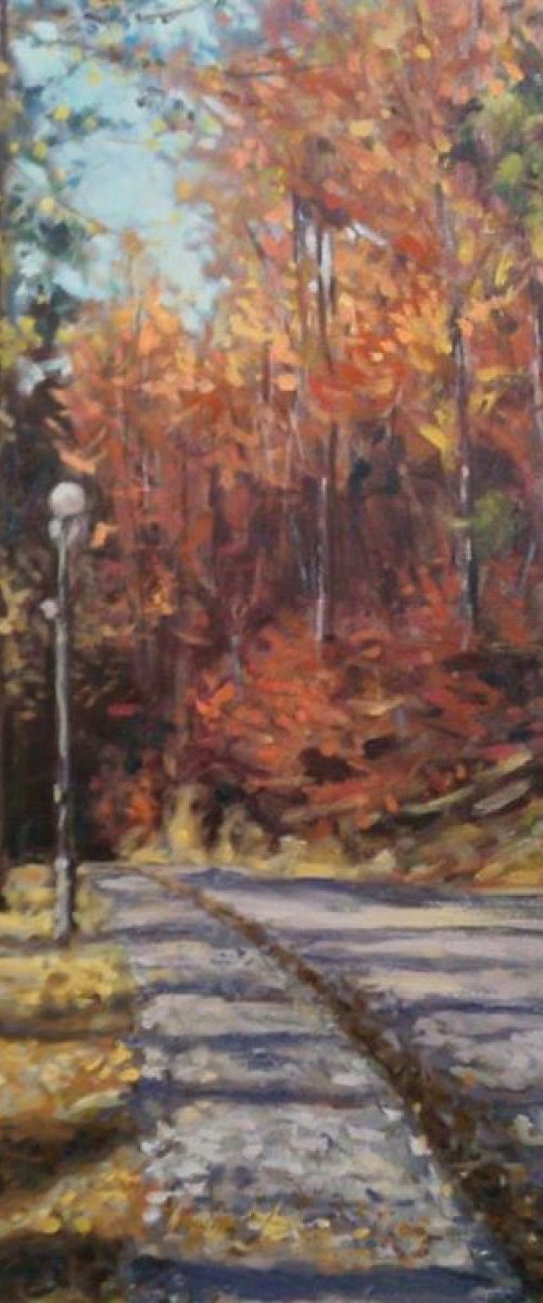 late fall by Sebastian Beianu
