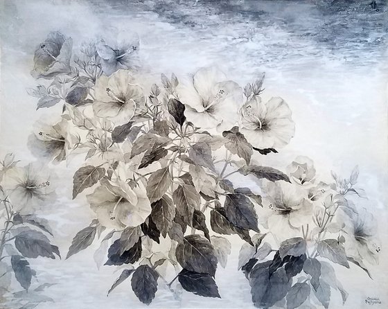A cloud of Hibiscus