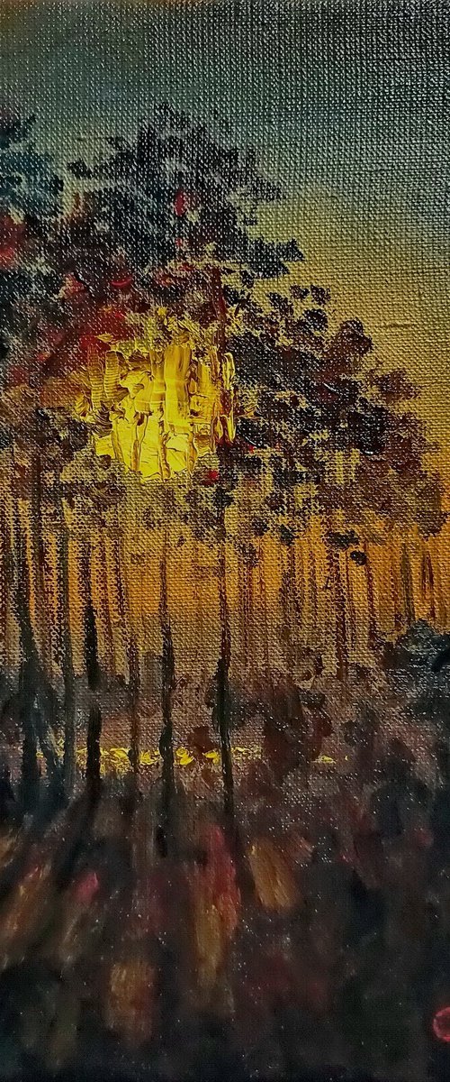 Full moon by Oleh Rak