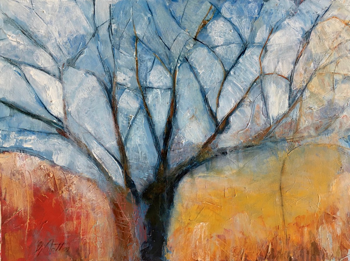 Acacia Tree by Grant Notten