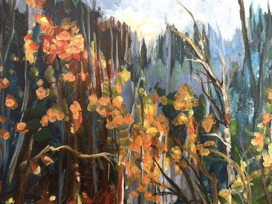 Mountain Fall Pathway