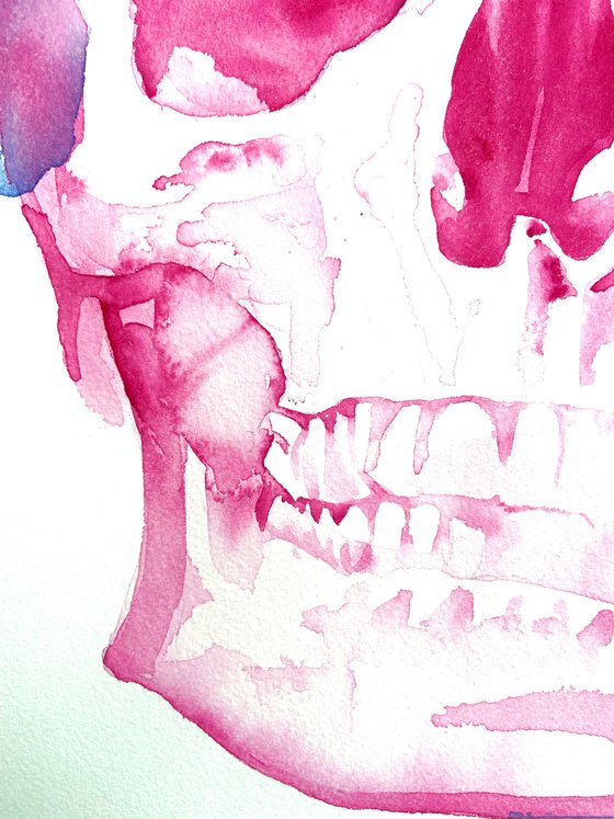 Skull in magenta