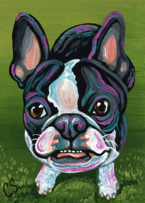 ACEO ATC Original Painting Boston Terrier Pet Dog Art-Carla Smale