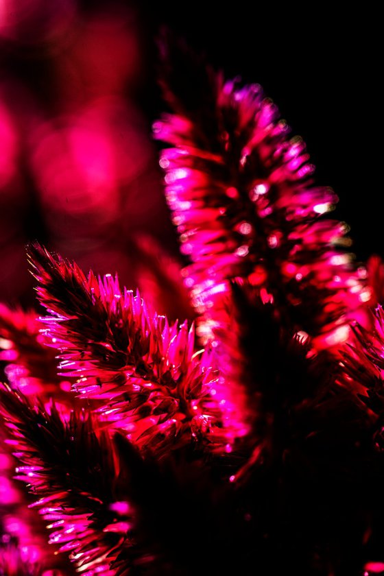Pink Fuzzy