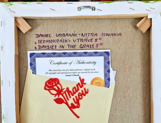 Daisies In The Grass 5