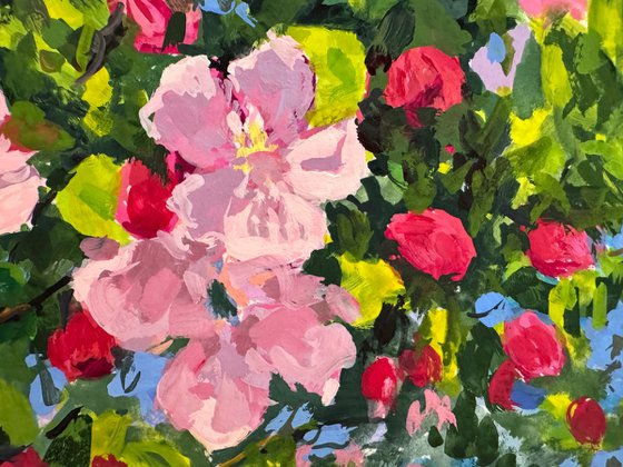 Crabapple Blossoms