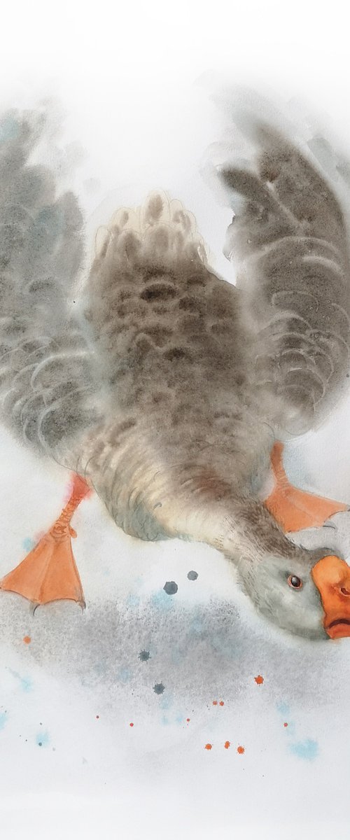 Angry Goose Attacking by Olga Beliaeva Watercolour