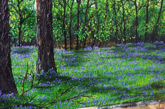 Glorious Spring Walk