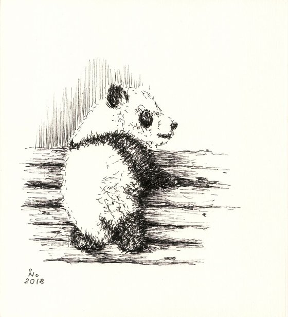 Baby Panda