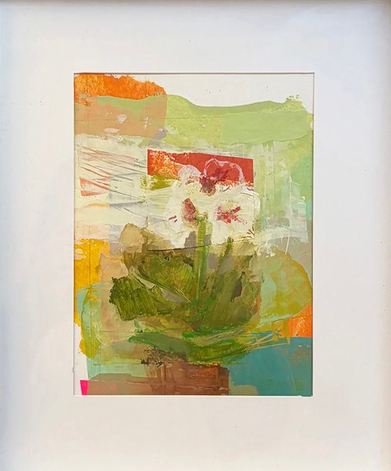 Geranium