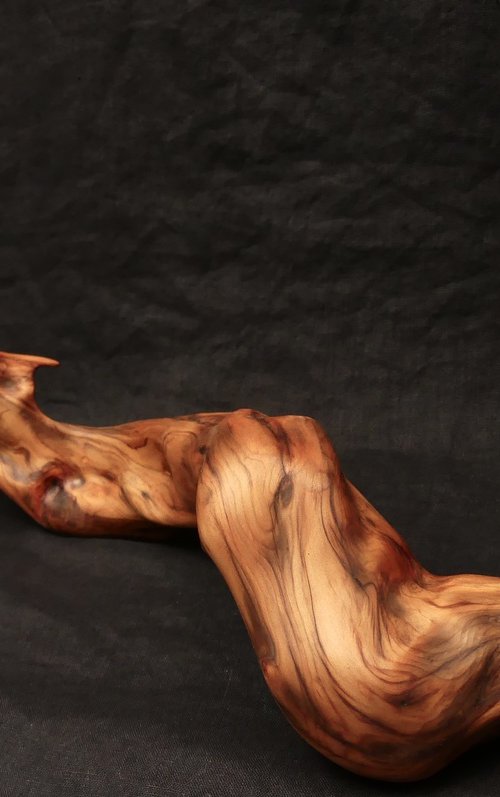 Mist Dragon (2025) by J. Lane