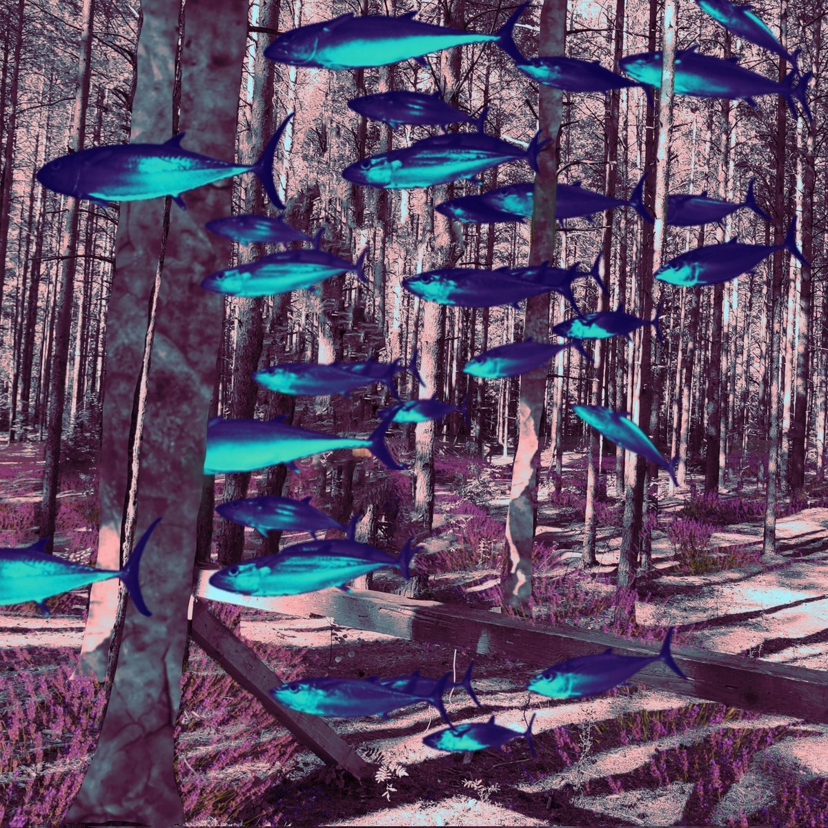Forest/collage by Olga Sennikova