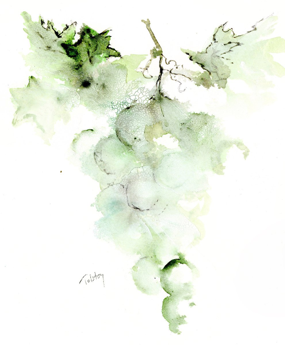 Impressionistic Botanical Painting By Alex Tolstoy, 10 X 12, Green Grapes, Original Artwork