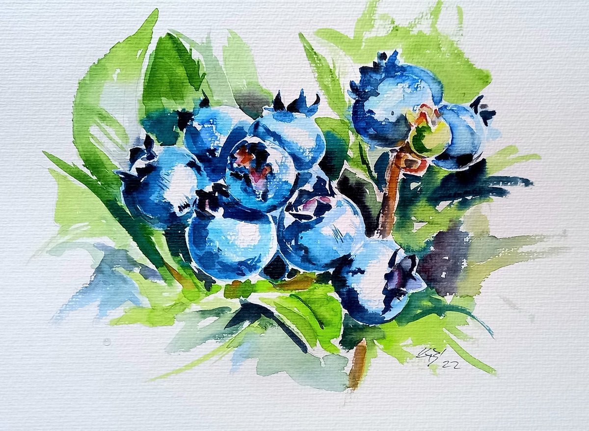 Blueberry /35 x 25 cm/ by Kovcs Anna Brigitta