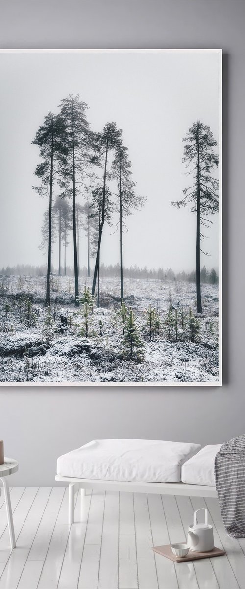 Lapland #1 by Karim Carella