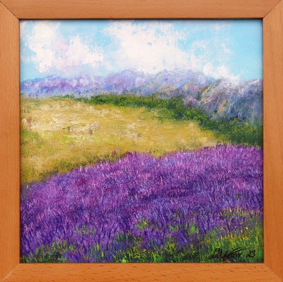 Lavender landscape