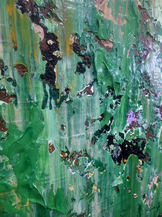 Secret of the Forest