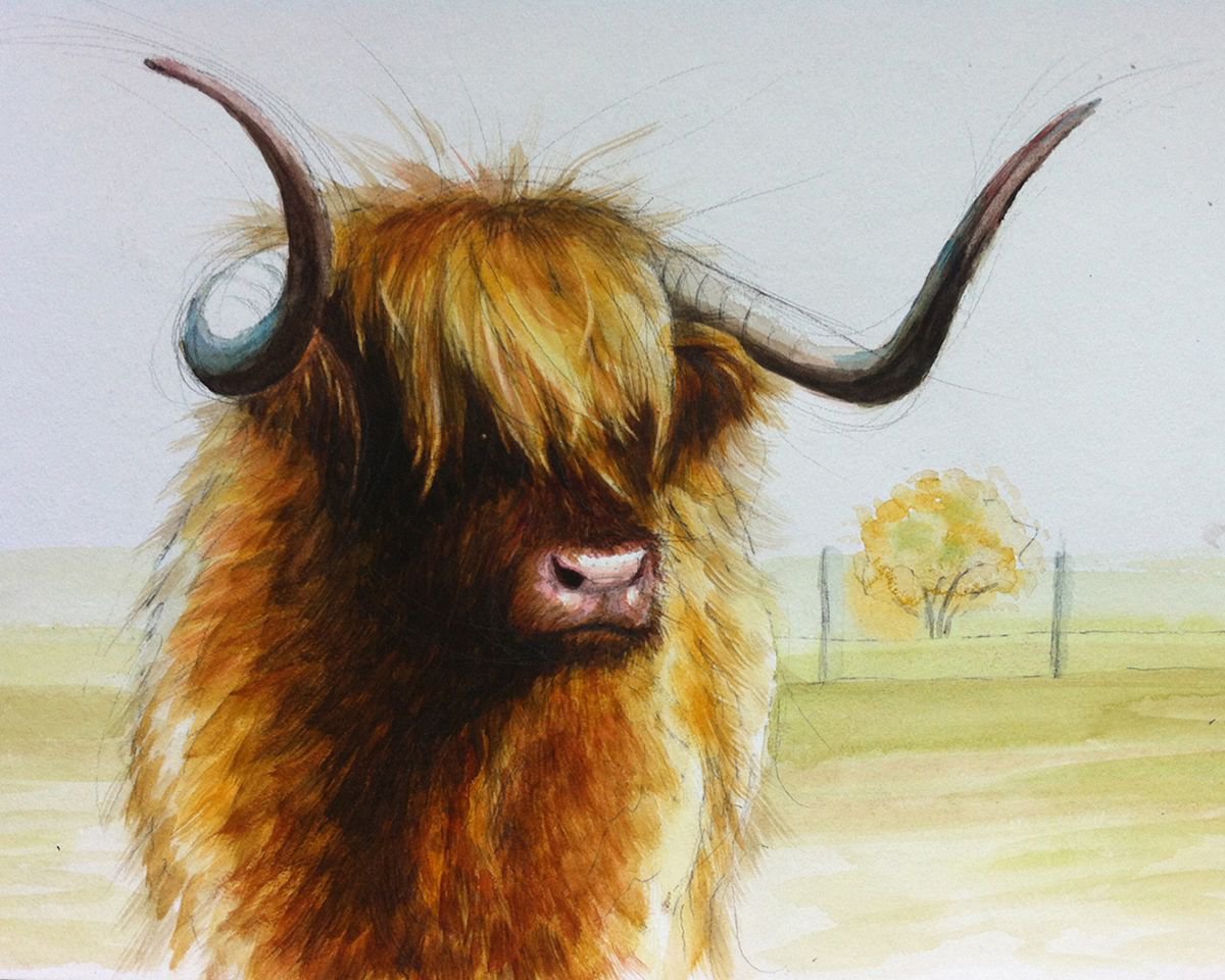 cow mood Watercolour by Alison Brodie Artfinder