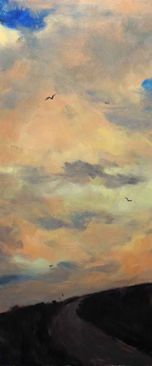 Clouds by Yuanyuan Liu