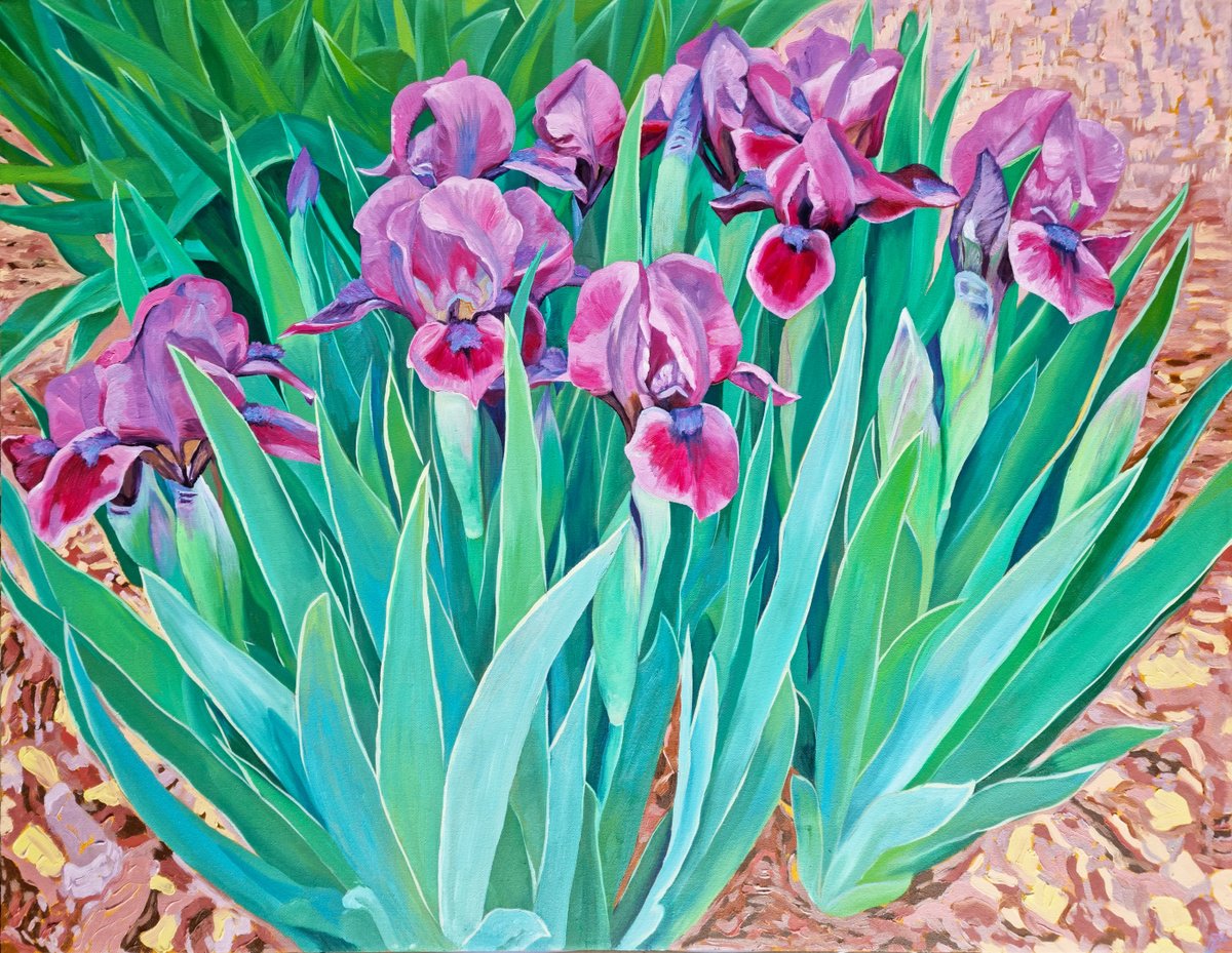 Impressionistic Botanical Oil Painting By Zulfiya Mukhamadeyeva, 35 X 28", Pink Irises, Original Artwork