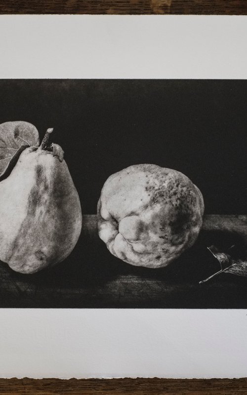 "Quince / membrillo" by Tariq Dajani