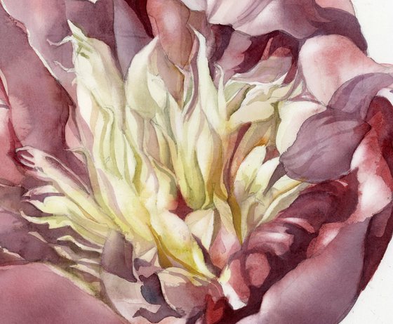 memory of spring watercolor floral