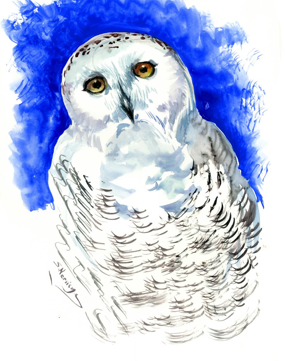 Snowy Owl by Suren Nersisyan