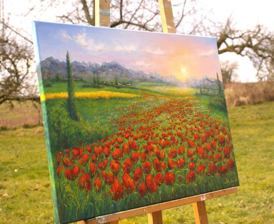 Serene poppy field