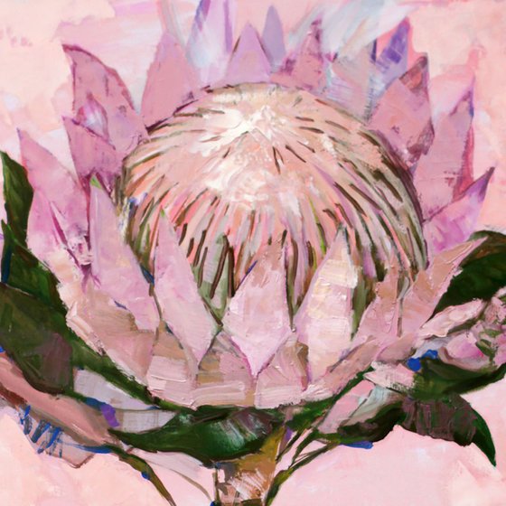 Protea