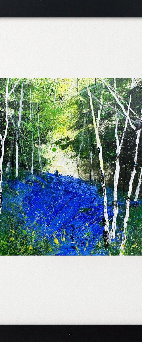 Silver Birches Bluebells by Teresa Tanner
