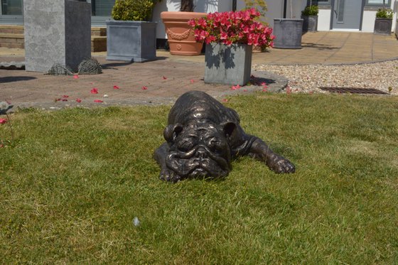 English Bulldog Foundry Bronze