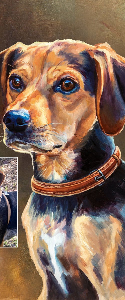Custom pet portrait from picture by Lucia Verdejo