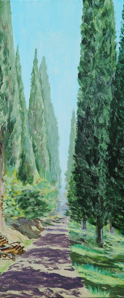 Cypress alley, 30*50 by Dmytro Yeromenko
