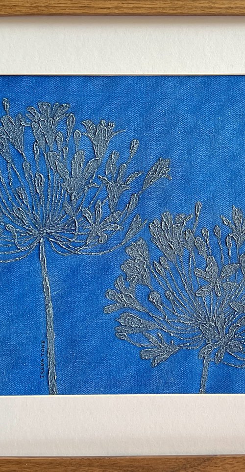 Agapanthus Azul by IRENA TONE