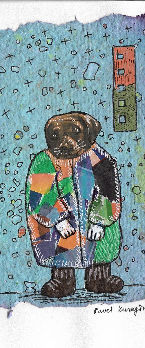 Scared dog by Pavel Kuragin